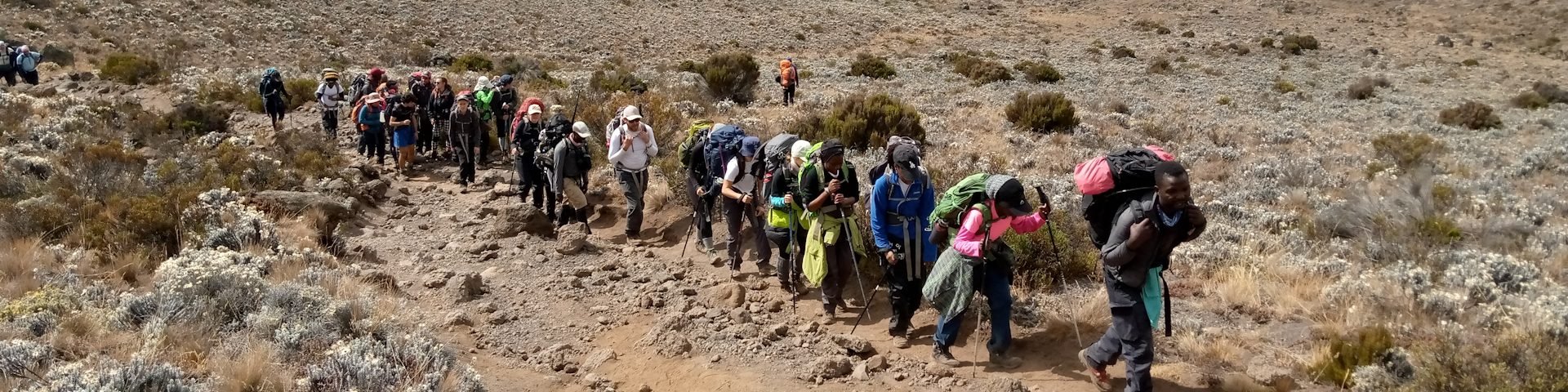Arusha Campus News – 9 Jun 2024