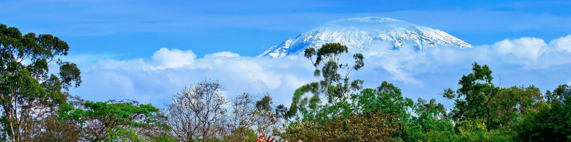 UWC East Africa